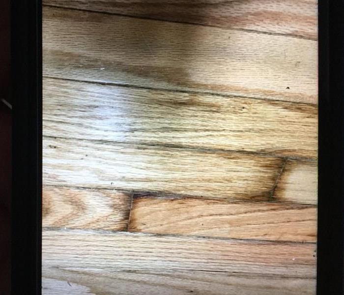 Photo of hardwood floor damage from water.